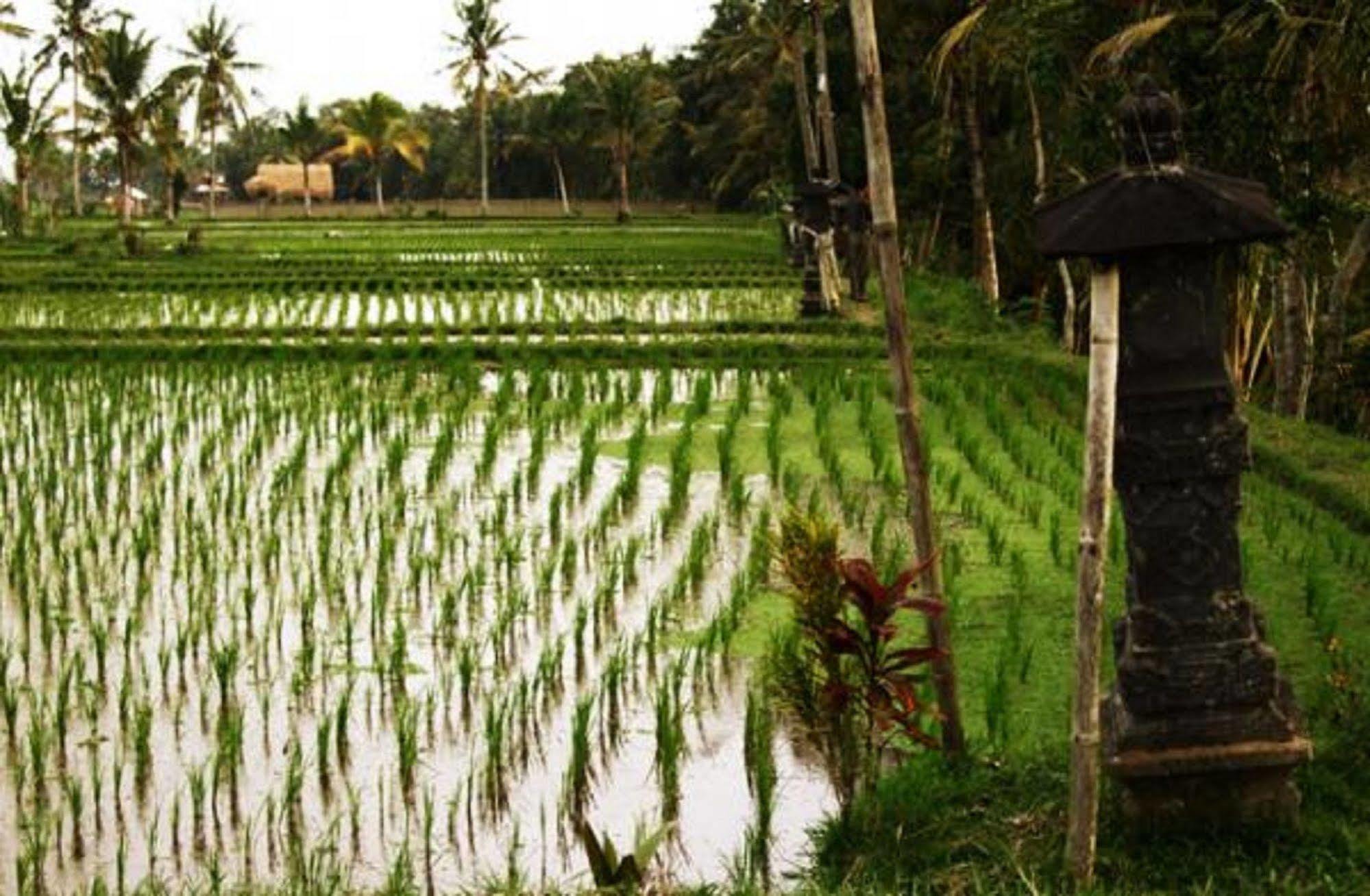 Puri Lotus Ubud Exterior foto
